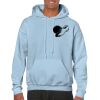 Heavy Blend Adult Hooded Sweatshirt Thumbnail