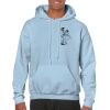 Heavy Blend Adult Hooded Sweatshirt Thumbnail