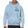 Heavy Blend Adult Hooded Sweatshirt Thumbnail
