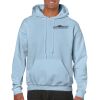 Heavy Blend Adult Hooded Sweatshirt Thumbnail