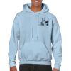 Heavy Blend Adult Hooded Sweatshirt Thumbnail