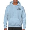 Heavy Blend Adult Hooded Sweatshirt Thumbnail