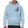 Heavy Blend Adult Hooded Sweatshirt Thumbnail