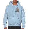 Heavy Blend Adult Hooded Sweatshirt Thumbnail