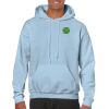 Heavy Blend Adult Hooded Sweatshirt Thumbnail