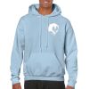 Heavy Blend Adult Hooded Sweatshirt Thumbnail
