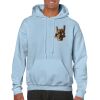 Heavy Blend Adult Hooded Sweatshirt Thumbnail