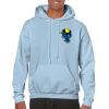 Heavy Blend Adult Hooded Sweatshirt Thumbnail