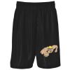 Podium Kids & Adults Basketball Shorts Thumbnail