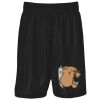 Podium Kids & Adults Basketball Shorts Thumbnail