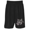 Podium Kids & Adults Basketball Shorts Thumbnail