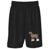 Podium Kids & Adults Basketball Shorts Thumbnail