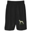 Podium Kids & Adults Basketball Shorts Thumbnail