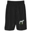 Podium Kids & Adults Basketball Shorts Thumbnail