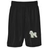 Podium Kids & Adults Basketball Shorts Thumbnail